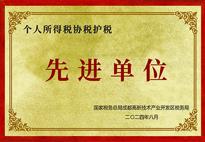2024年個人所得稅協(xié)稅護(hù)稅先進(jìn)單位